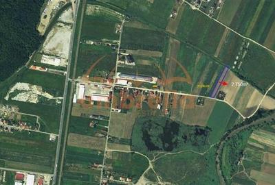 Teren Construcții intravilan de 5500 mp, în Jucu de Mijloc - 3