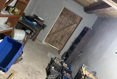 Casă cu 4 camere în Ioaniș