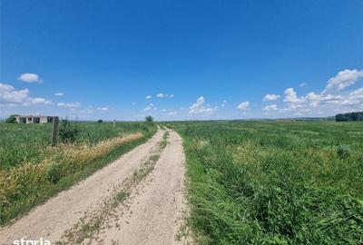 Teren de 27500 mp, în Săucești - 1