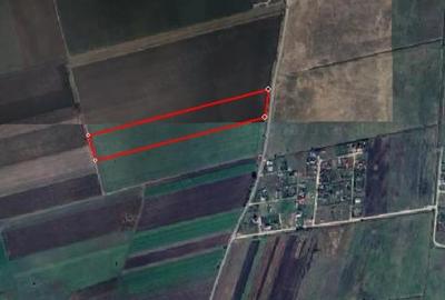 Teren de 43820 mp, în Hărman - 1