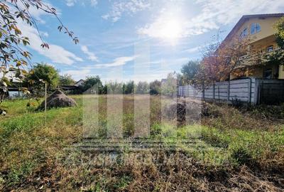 Casă individuală cu 2 camere cu Canalizare în Cetate - 5