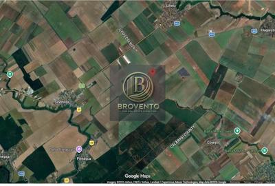 Teren agricol extravilan de 200000 mp, în Găneasa - 2
