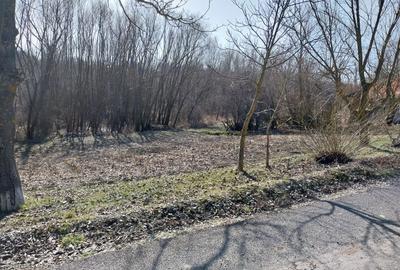 Spațiu comercial, în Făurei - 7