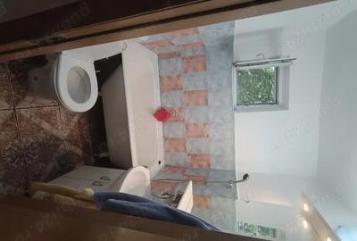 Apartament cu 2 camere decomandat în Podu Roș - 2