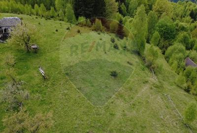 Teren agricol extravilan de 38704 mp, în Șirnea - 6
