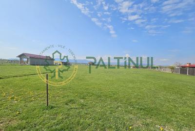 Teren agricol extravilan de 1500 mp, în Șelimbăr - 3