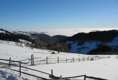 Teren de 4000 mp, în Muntele Bocului