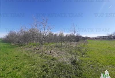 Teren Construcții intravilan de 4000 mp, în Vârteju - 10