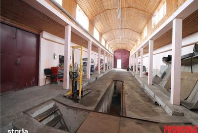 Spațiu comercial, de 400 mp, în Letea Veche - 6