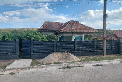Casă cu Teren 1086 Mp în Livezi