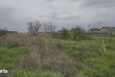 Teren de 3000 mp, în Cazasu