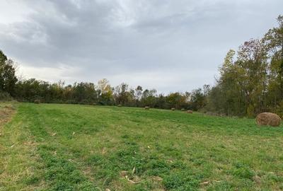 Teren de 4990 mp, în Duboz - 4