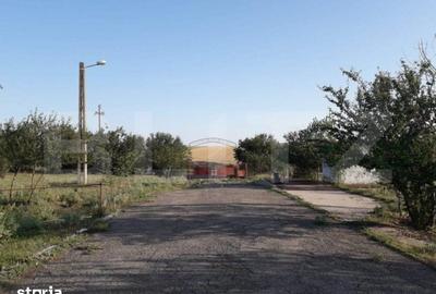 Teren de 950000 mp, în Iosefin - 11