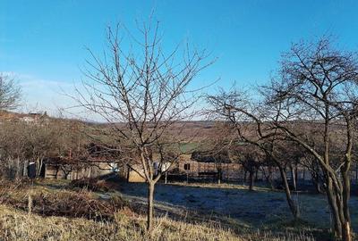 Casă cu Teren 3000 Mp în Hidiș - 6