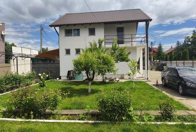 Spațiu comercial, în Paltin - 2