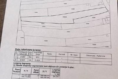 Teren Construcții intravilan de 6075 mp, în Sinersig