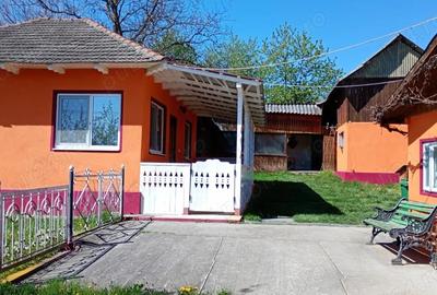 Casă cu 4 camere cu Teren 3600 Mp în Obislavu - 1