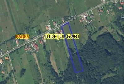 Spațiu comercial, în Apa Neagră - 1
