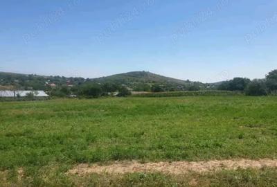 Teren de 7000 mp, în Telița - 2