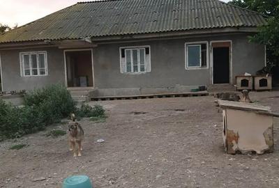 Teren de 5080 mp, în Rădăcinești
