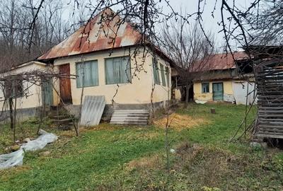 Casă cu 4 camere în Helegiu - 3
