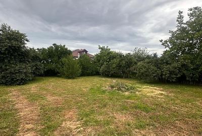 Casă cu 3 camere cu Teren 1300 Mp în Central - 9