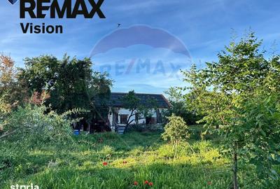 Casă cu 5 camere cu Teren 9500 Mp în Catane - 6