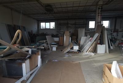 Spațiu industrial, de 450 mp, în Giroc - 3