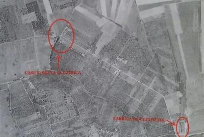 Teren de 10900 mp, în Oncea - 3