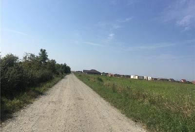 Teren de 18800 mp, în Moșnița Veche - 1