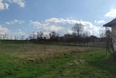 Casă cu 4 camere cu Teren 4900 Mp în Oarța de Jos