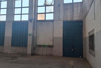Spațiu industrial, de 15,000 mp, în Glina
