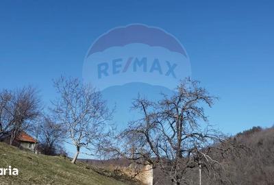 Teren de 23600 mp, în Vințu de Jos - 3