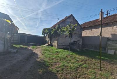 Casă cu 3 camere în Bărăștii Hațegului