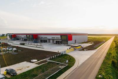 Spațiu industrial, de 9,900 mp, în Dragomirești-Deal - 2