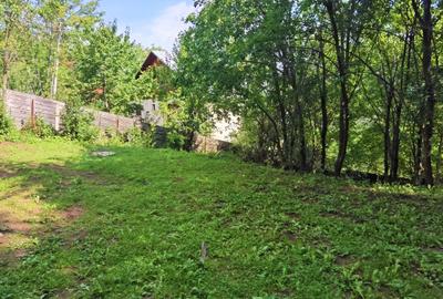 Casă individuală cu 5 camere cu Canalizare în Capul Câmpului - 11
