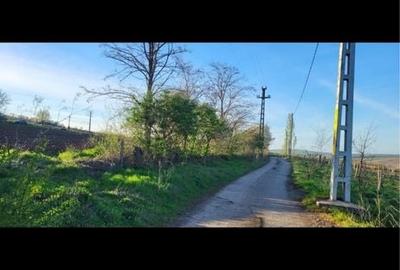 Teren de 3755 mp, în Șorogari