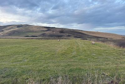 Teren Construcții de 6000 mp, în Cojocna - 2
