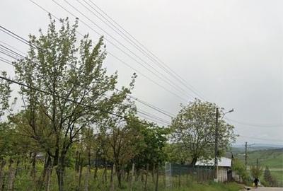 Spațiu comercial, în Ion Neculce