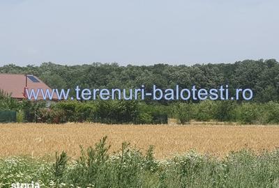Teren de 500 mp, în Balotești