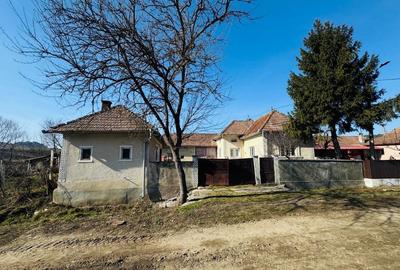 Casă cu 3 camere în Panticeu - 8