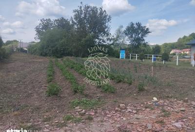 Teren de 701 mp, în Central