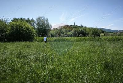 Teren de 15360 mp, în Blăjel - 3