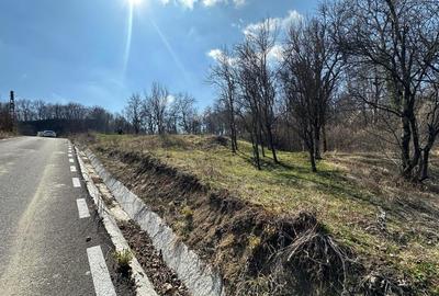 Teren de 828 mp, în Curăturile
