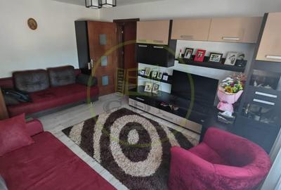 Apartament cu 2 camere semidecomandat, mobilat în Brazda lui Novac