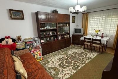 Apartament cu 3 camere decomandat în Nicolina - 8