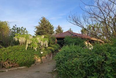 Casă cu 4 camere în Biharia - 4