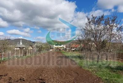 Teren de 1377 mp, în Tăuții-Măgherăuș - 1