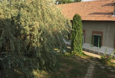 Teren de 49000 mp, în Iancu Jianu