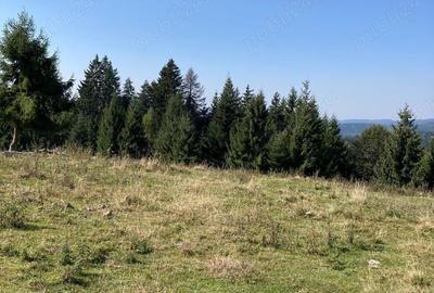 Teren în Călimănel - 1